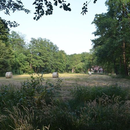 Vierseitenhof Appartements 부르크 외부 사진