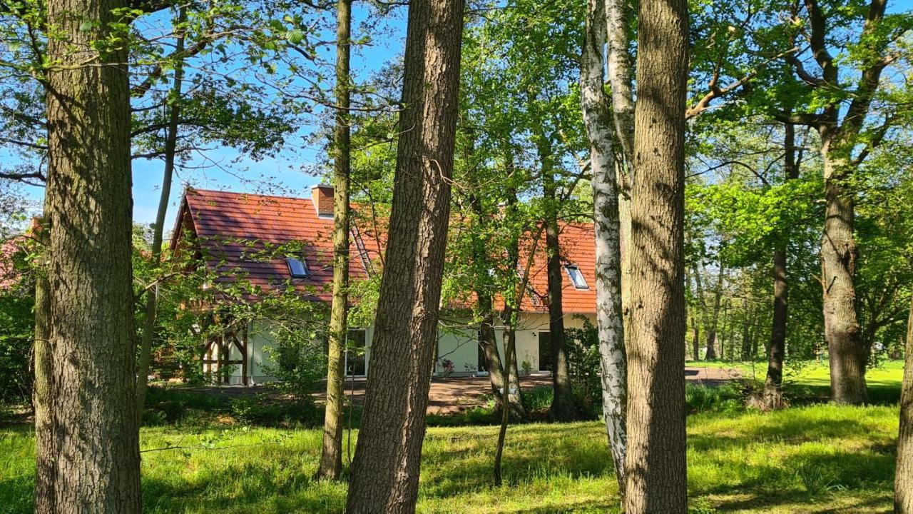 Vierseitenhof Appartements 부르크 외부 사진