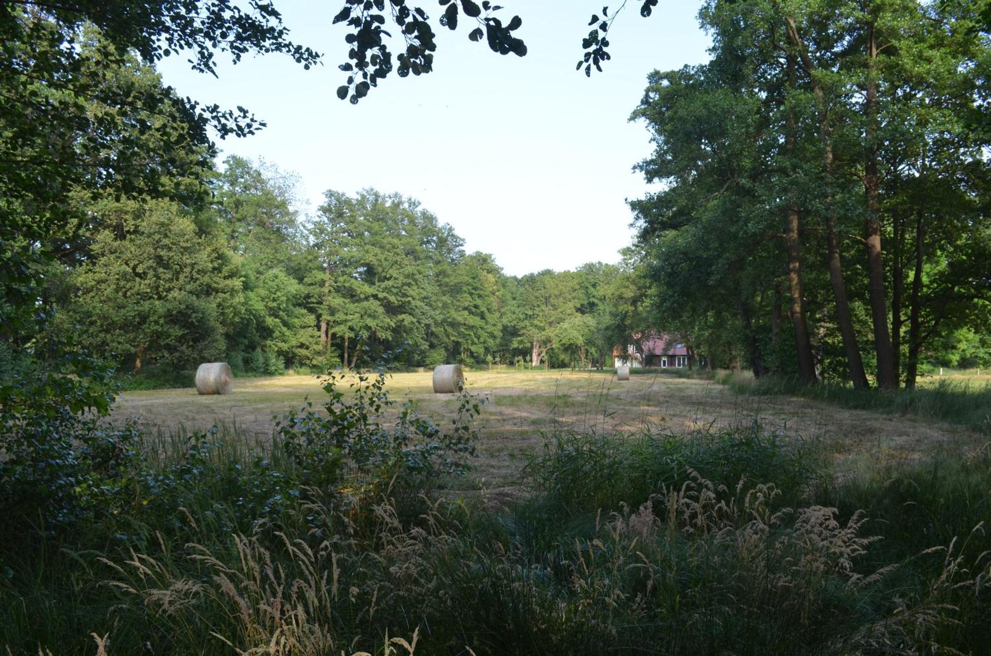 Vierseitenhof Appartements 부르크 외부 사진